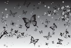 1194 Butterflies